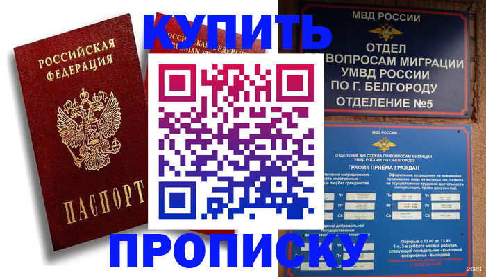 прописка иностранных граждан в Кашине